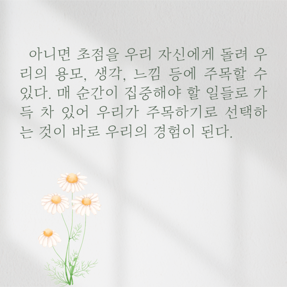 dd58159a9512655d7ca6cbbbe99c5b97_1787538995_0051.png